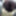 2025年の新しい写真=)