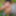 SelfiesNudes al Aire Libre (Excitado en la Calle) #14