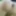 Ass butt pics