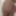 Ass #10