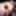 My fake Gape 43