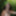 Savage Girl in thickets