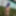 Blue-haired beauty showing her bust while gardening #46
