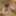 Two Japanese Girls Get Dicked Down