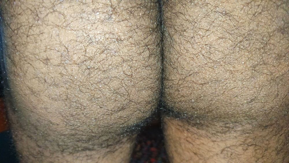 Hairy Cock and Ass #2