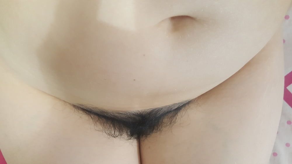 hairy pussy #4