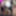 Une💣BomBe de Travesti Francaise fait un StripTease en LiVE #43