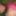 Pink Lady #8