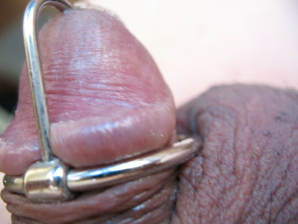 More steel in my cock with glans ring #7