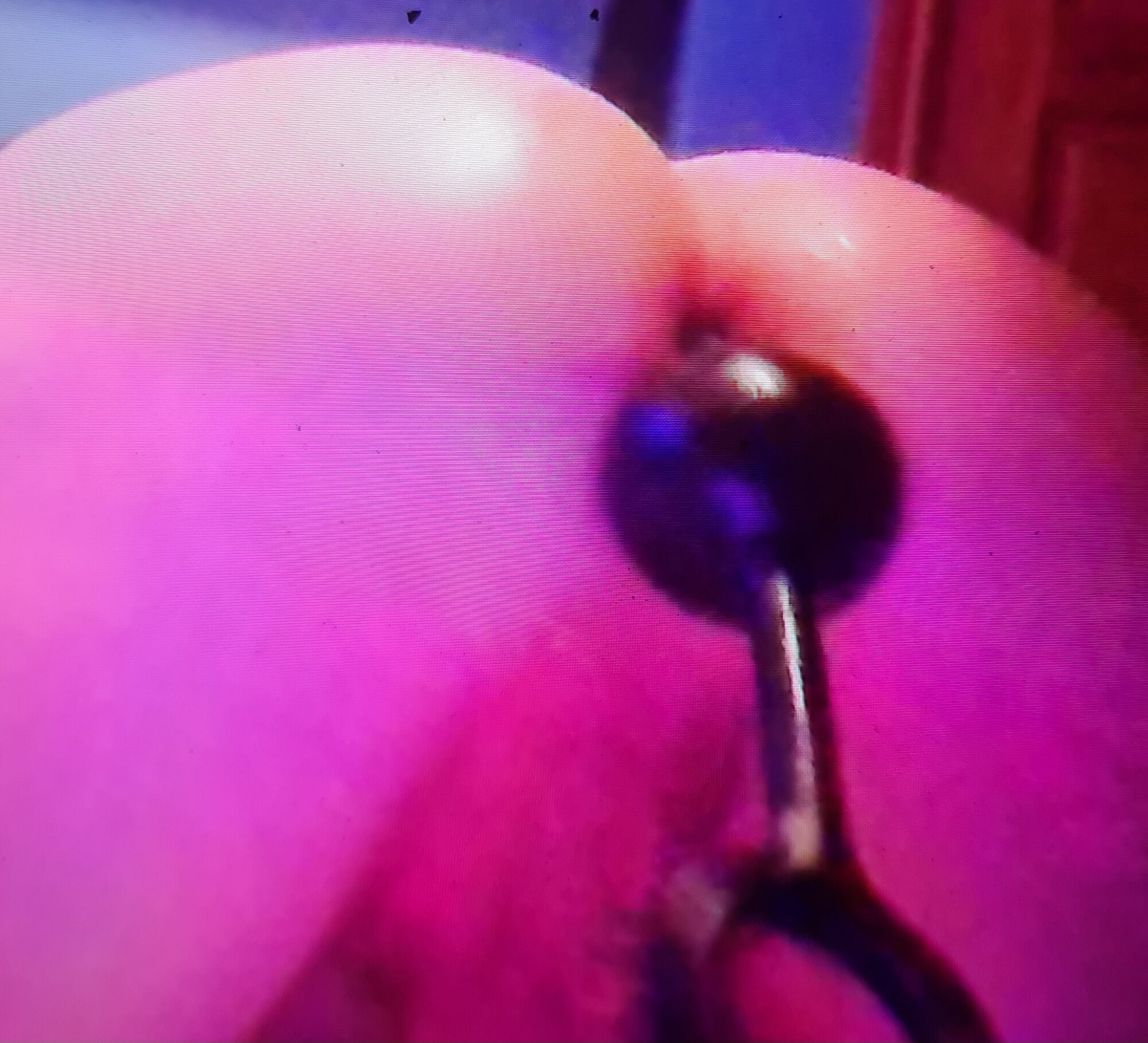 What is it you want too see boys #6
