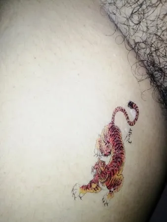 tiger tattoo on pussy         