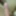 WHO WANNA TAKE CHANCE DESI DICK 