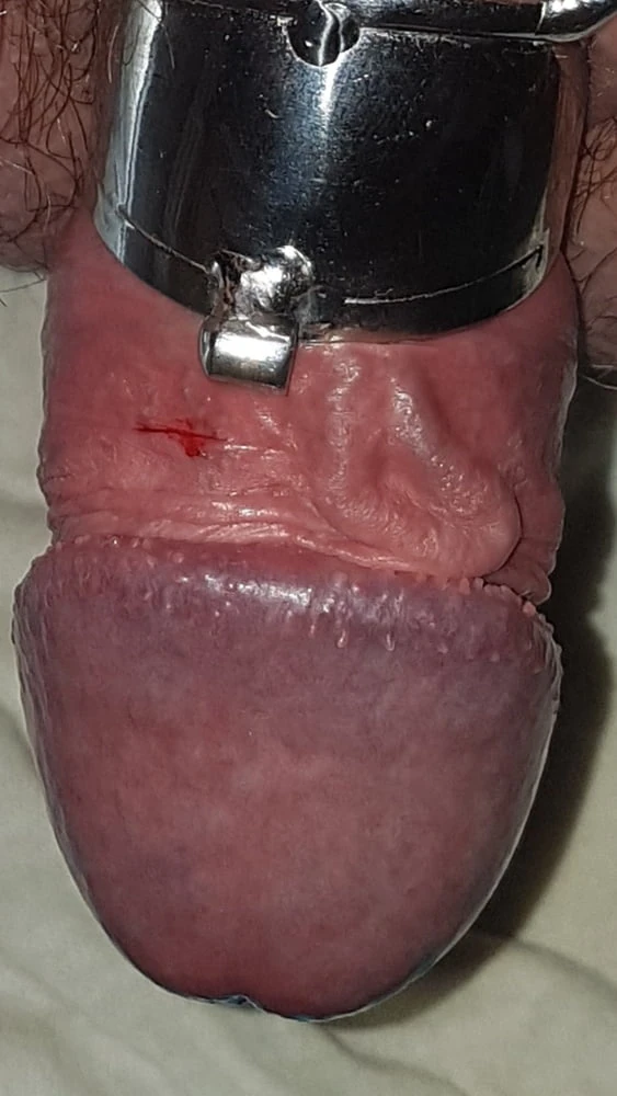 Chastity cage #11