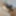 Sex chat pictures to old men