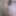 Close up blowjob