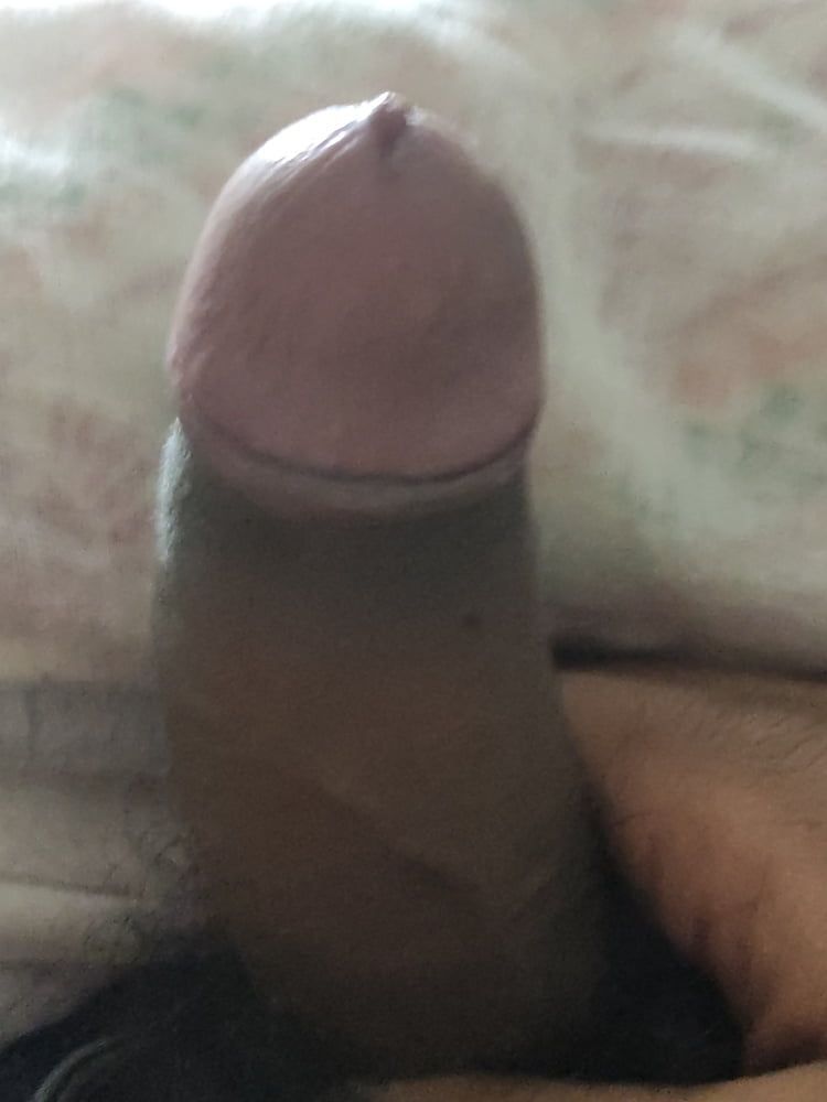 My cock dick