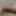 My cock that day - 16.05.2018