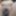 Bangla sex video with brother-in-law and sister