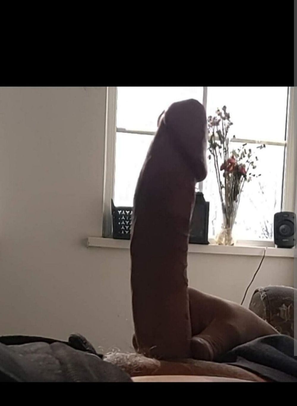 Big Dick 