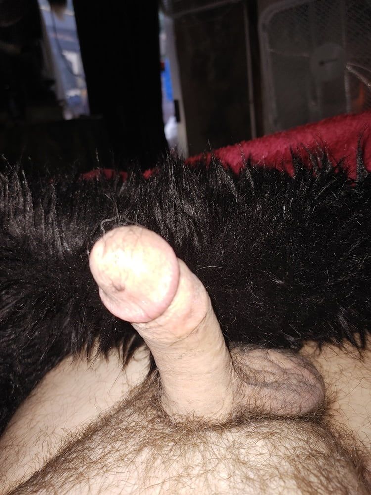 Cock collection #40