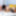 Nadiya with Dom Sex Photos  #28