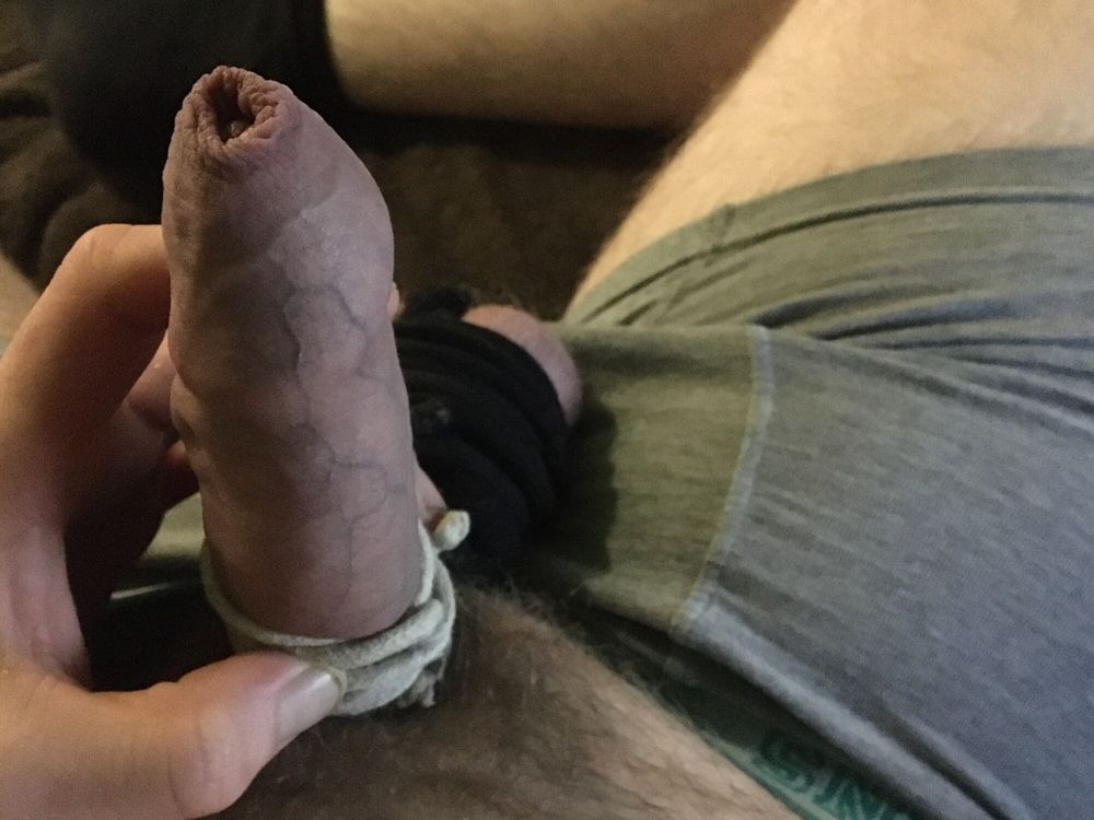 Hairy Dick And Cum Filled Balls Bound #24