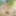 Naked in the garden of my house #3