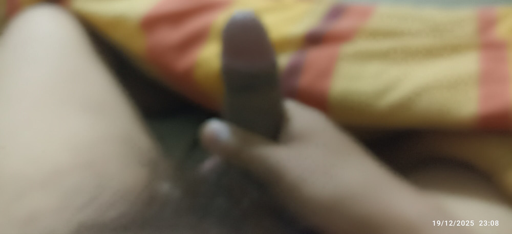 Paloma gruesa de un boliviano #3