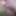 Dick handjod masturbating expose 