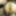 Photo 2016c #14