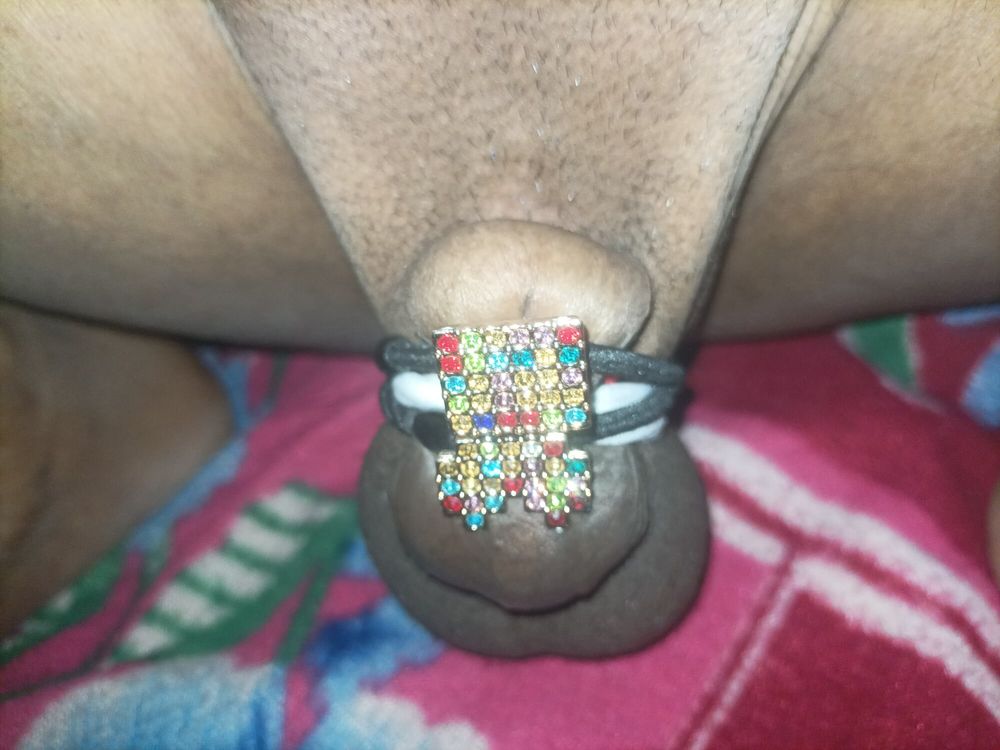  Cock par ring #22