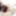 Saori Miyazawa :: BOGA x BOGA: Praises Me - CARIBBEANCOM #3