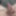 Cock Pictures #20 i cant stop doing Pictures! #9