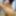 Naked desi Indian slim girlfriend