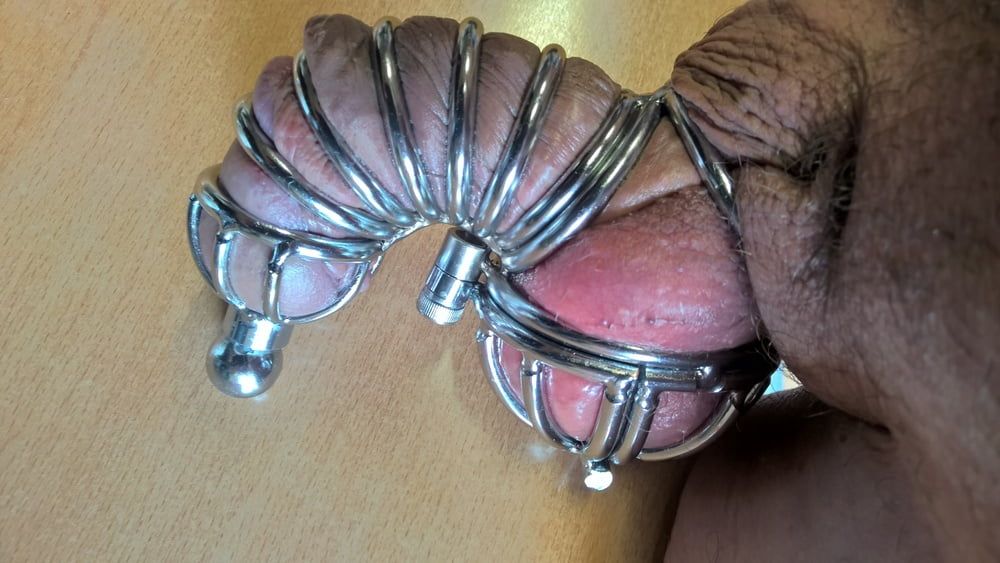 Smallest penis and testicle cage 2 #10