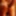 covo_sissy_cross 