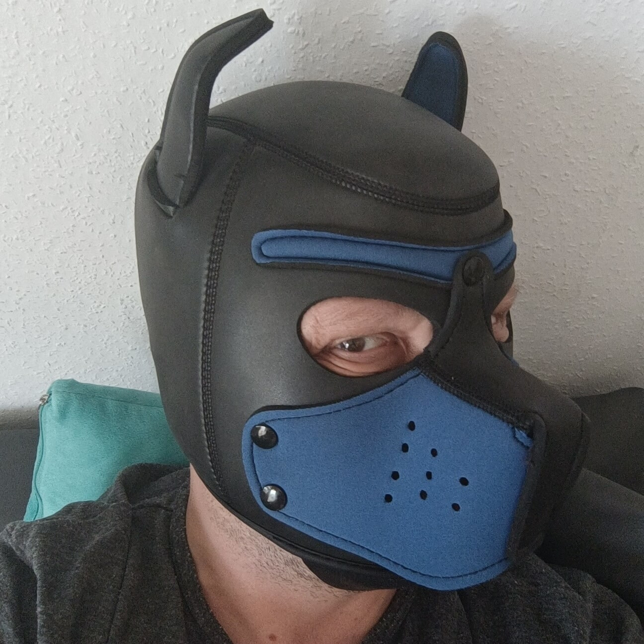 me as a puppy