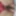 The hairy pussy of the beautiful Demona with new lingerie 