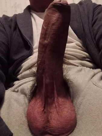 Big hairy fat cock