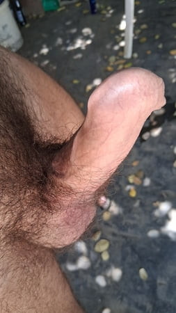 Cazzo duro in primo piano 