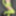 Green Mesh Lingerie #8