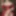 Courtesan