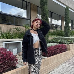 isa Free Photos