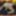 Annadevot - a big dildo 4 me