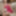 Hasumi Yoshioka :: The Continent Full Of Hot Girl - CARIBBEA #6