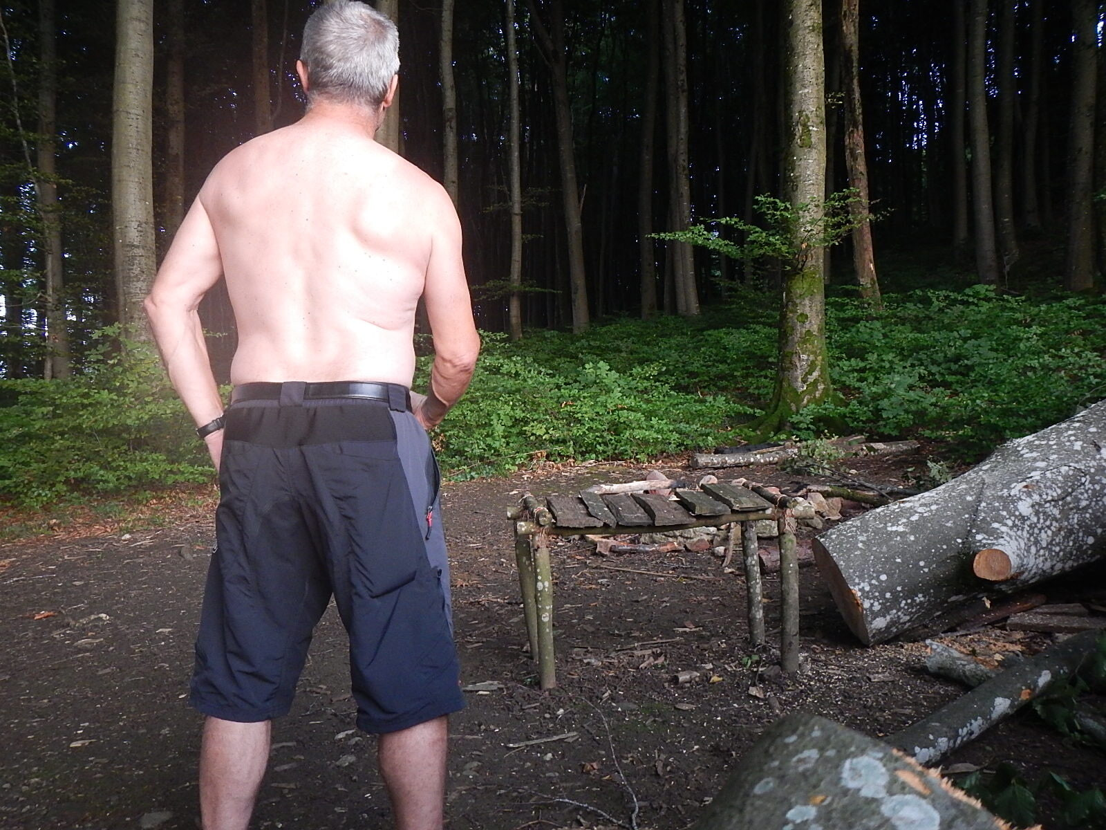 Strip in the woods