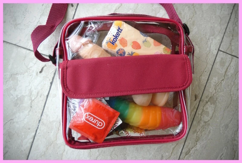 My new purse #3