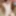 Perky redhead Gianna takes it all off