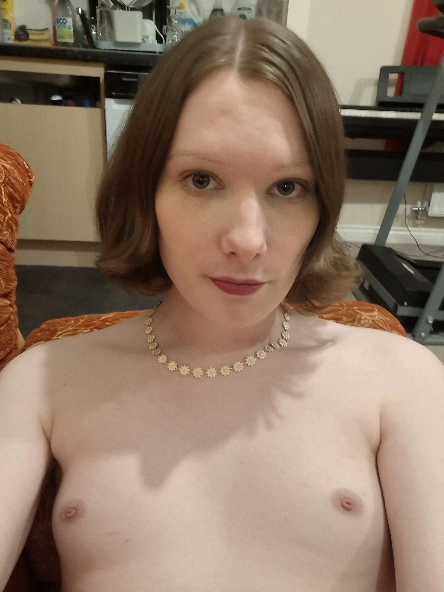 Transition Timeline