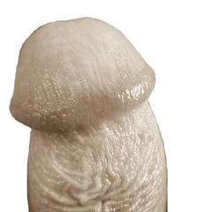 cock